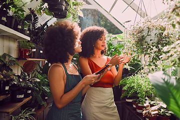 Image showing Woman, tablet and plants in discussion in greenhouse for analysis, farming or leaves growth in summer. Black woman, horticulture startup or talking together for plant health, farm or sustainability