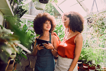 Image showing Greenhouse, tablet and plants of black woman with teamwork, collaboration and progress communication for green shop inventory. Agriculture, garden and small business owner people with management tech