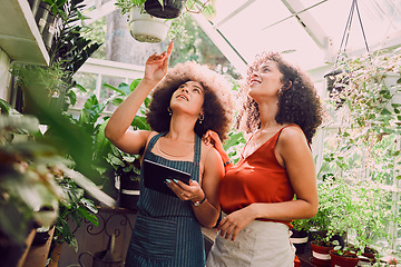 Image showing Black women, tablet or pointing in plant greenhouse in organic growth management, ecommerce flower orders or sustainability innovation. Smile, happy or talking florists, garden center workers or tech