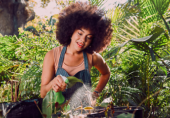 Image showing Black woman, water and spray bottle for plants, garden and eco friendly outdoor flowers. Agriculture, sustainability or African American female gardening, growth or liquid for ecology, flora or relax