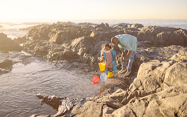 Image showing Family, children and beach with a father and daughter bonding by a rock pool during summer together. Kids, fishing or love with a man and girl playing in the water with a net and bucket for fun