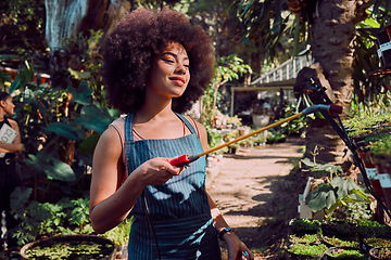Image showing Black woman, plant pesticide and nature garden for sustainable gardening, farming and a healthy organic vegetable growth. Nursery plants, girl spray water on leaf and eco friendly greenhouse farming