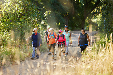 Image showing Nature, walking and senior group hiking in forest for exercise, health and wellness with cardio outdoor workout. Fitness, healthy and elderly friends or retirement club trekking on path in the woods