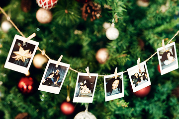 Image showing Christmas, photograph and memories with a row of pictures hanging on a Christmas tree for celebration or tradition. Family, home and merry with decorations on an evergreen in the festive season