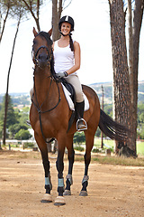 Image showing Horse riding, equestrian and woman on farm for experience or professional training with horse on a field. Sports, exercise and portrait of girl horseback riding in a natural environment in Australia