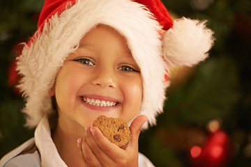 Image showing Christmas, young child with cookie and smile in portrait, holiday and celebration in family home. Happy kid, chocolate cookies and festive in Santa hat and youth with happiness in childhood and xmas.