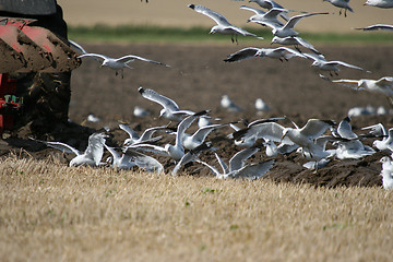 Image showing tracktor in work