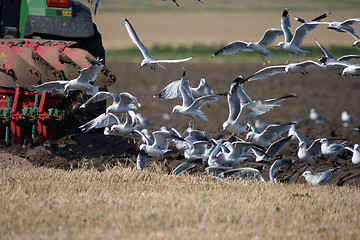 Image showing tracktor in work