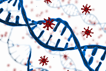 Image showing Virus integrates into the human cellular mechanism.