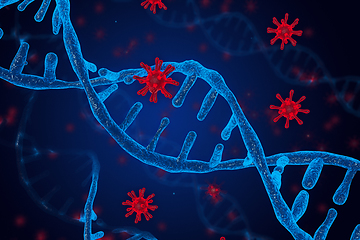 Image showing virus integrates into the human cellular mechanism.