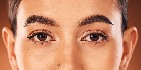 Image showing Beauty, eyes and vision portrait of a woman in studio for cosmetics, make up and dermatology with natural lashes and skin. Zoom on aesthetic model with eye care, focus and perfect eyebrow shape