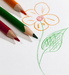 Image showing flower drawn with pencils