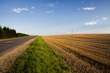 Image showing part of an agricultural field