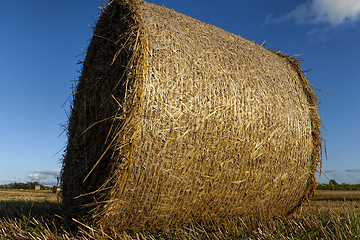 Image showing cylindrical straw stacks