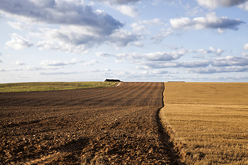 Image showing a half plowed agricultural field