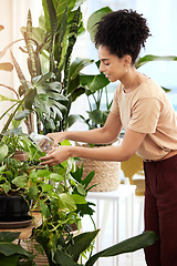 Image showing Black woman, water plants and gardening in house for health, care and plant growth. Spring flowers, sustainability and female from Brazil watering eco friendly ferns, leaves and house plants in home.