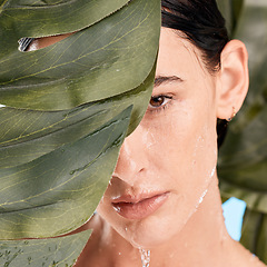 Image showing Woman, skincare and jungle leaves by face with water drop, moisturizer and wellness with mystery. Plants, natural cosmetic and water on model skin for health, organic cleaning and facial aesthetic