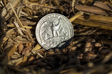 Image showing American coins are cents