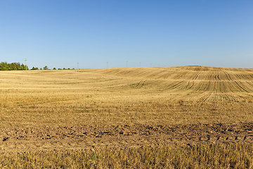 Image showing plowed fertile soil