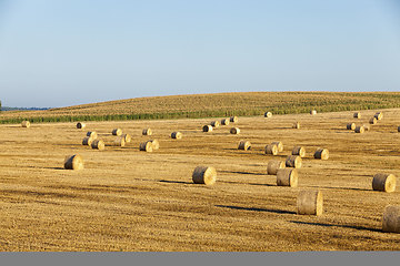 Image showing a stack of straw