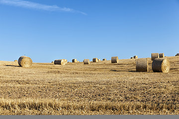 Image showing stack of straw , summer time