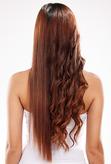 Image showing Hair care, beauty and back of woman in studio isolated on a white background. Hairstyle, curly hair and female model with long and healthy hair after cosmetics dye or salon hair treatment for texture