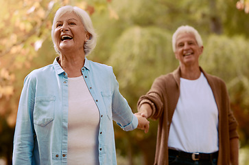 Image showing Senior couple, holding hands and happy smile together in park, romance and love outdoor in park on date. Elderly man, woman and walking in forest, autumn and enjoy marriage relationship in nature