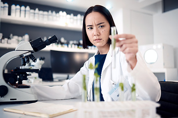 Image showing Scientist woman, test tube and lab for plants in agriculture, food security or gmo on table by microscope. Asian science expert, research or growth of leaves, seedling or laboratory analysis in Tokyo