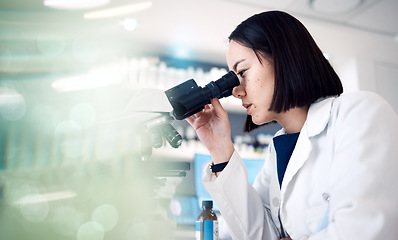 Image showing Science, microscope and woman in laboratory for research, medical innovation and test. Female scientist, biotechnology and expert staff working on dna analysis, healthcare investigation and analytics