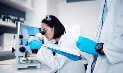 Image showing Science, medical and hands with tablet for research in lab for analytics, biotechnology and digital analysis. Healthcare, technology and scientists team working with microscope in medicine laboratory