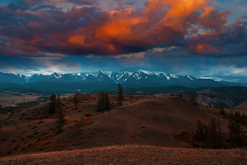 Image showing Maral on mountains background