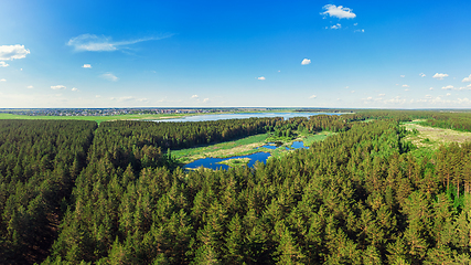 Image showing Aerial view of forest lake