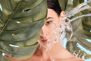 Image showing Water splash, leaf and skincare of a woman portrait of wellness, organic and luxury facial. Plant beauty, natural cosmetic and green dermatology of person with sustainable cosmetics and treatment