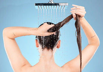 Image showing Shower head, woman and washing hair on blue background for healthy skincare, beauty and wellness in studio. Back of female model cleaning body, long hair and scalp with water splash, tap and bathroom