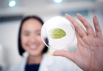Image showing Woman, hand and petri dish with a plant for botany with a biologist studying climate change in the lab. Biology, environmental studies and female scientist in the laboratory with plants for ecology