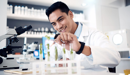 Image showing Scientist, plant and research in laboratory, microscope or test tube with innovation, analytics or happy smile in work. Science man, biology analysis or expert working with chemicals in chemistry lab