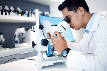 Image showing Microbiology, research and scientist in a lab with a microscope for science, healthcare innovation and bacteria analysis. Medical analytics, biotechnology and worker with test on future medicine