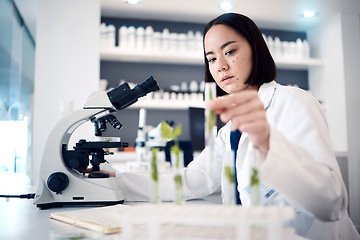 Image showing Lab, microscope or woman scientist with plant in test tube, analytics or healthcare innovation. Science, futuristic or botanist doctor in Tokyo hospital for medicine study or data analysis research