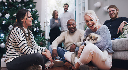 Image showing Christmas, dog and party with friends in living room for celebration, relax and festive. Happy, holiday and xmas with pet and group of people at home for gathering, reunion and social event together