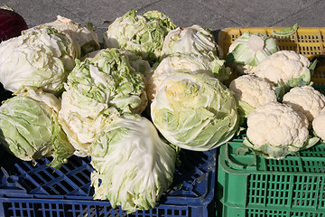 Image showing Vegetables