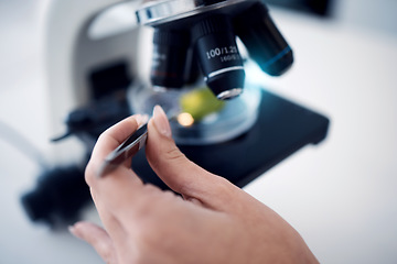 Image showing Science, scientist hand with tweezers and microscope with test sample zoom, research for scientific innovation in lab. Biotechnology or botany with doctor in lab and analysis with study closeup.