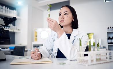 Image showing Scientist woman, test tube and plants in lab research, food security study or agriculture development. Asian doctor, plant expert or gene editing for leaf growth, healthy leaves or science in Tokyo