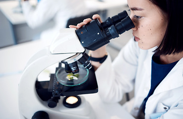 Image showing Science, microscope and botanist with Petri dish analyzing plant sample for biological breakthrough. Laboratory, biologist and natural ecologist studying plants development in a lab using equipment