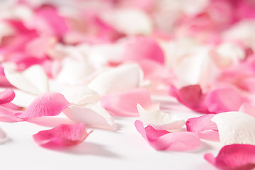 Image showing rose petals