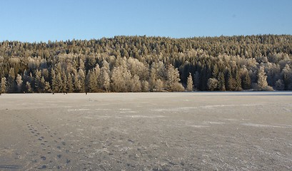 Image showing Winter in Norway