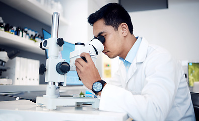 Image showing Microbiology, research and scientist with microscope for bacteria in a lab, studying particles and science atom. Healthcare, innovation and worker with technology for medicine, atom data and test