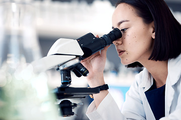 Image showing Microscope, scientist or woman with research, medical cure or check sample data in laboratory. Asian female, researcher or employee analyzing result, scientific method or lab equipment for innovation