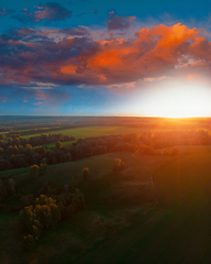 Image showing Top aerial view of green fields and meadows