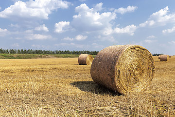 Image showing a stack of straw