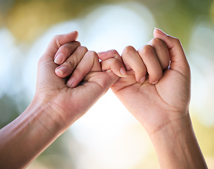 Image showing Friends hands, promise and hook fingers for support, trust and love together in nature outdoor. Zoom women and connect pinky hand in hope, respect and commitment link of save the date relationship